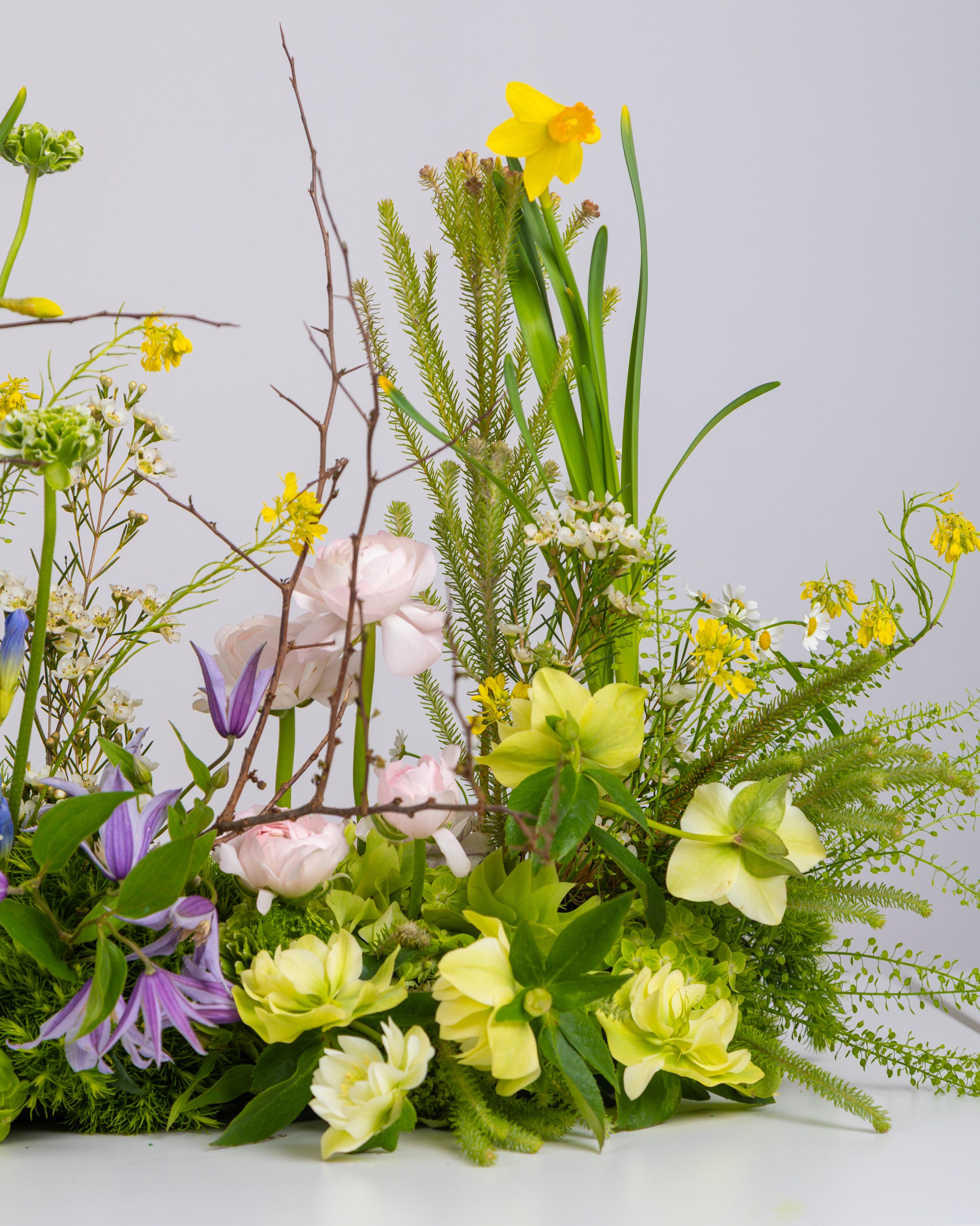 Image of Spring Awakening