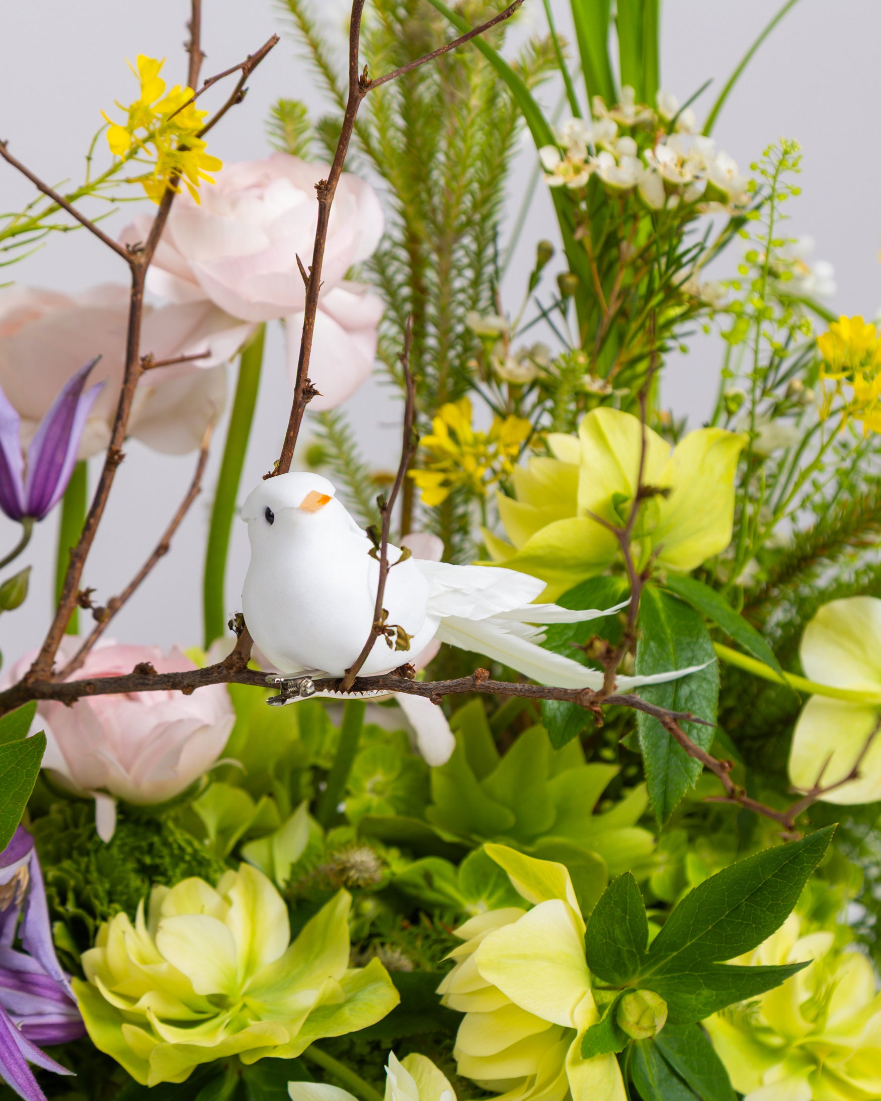 Image of Spring Awakening