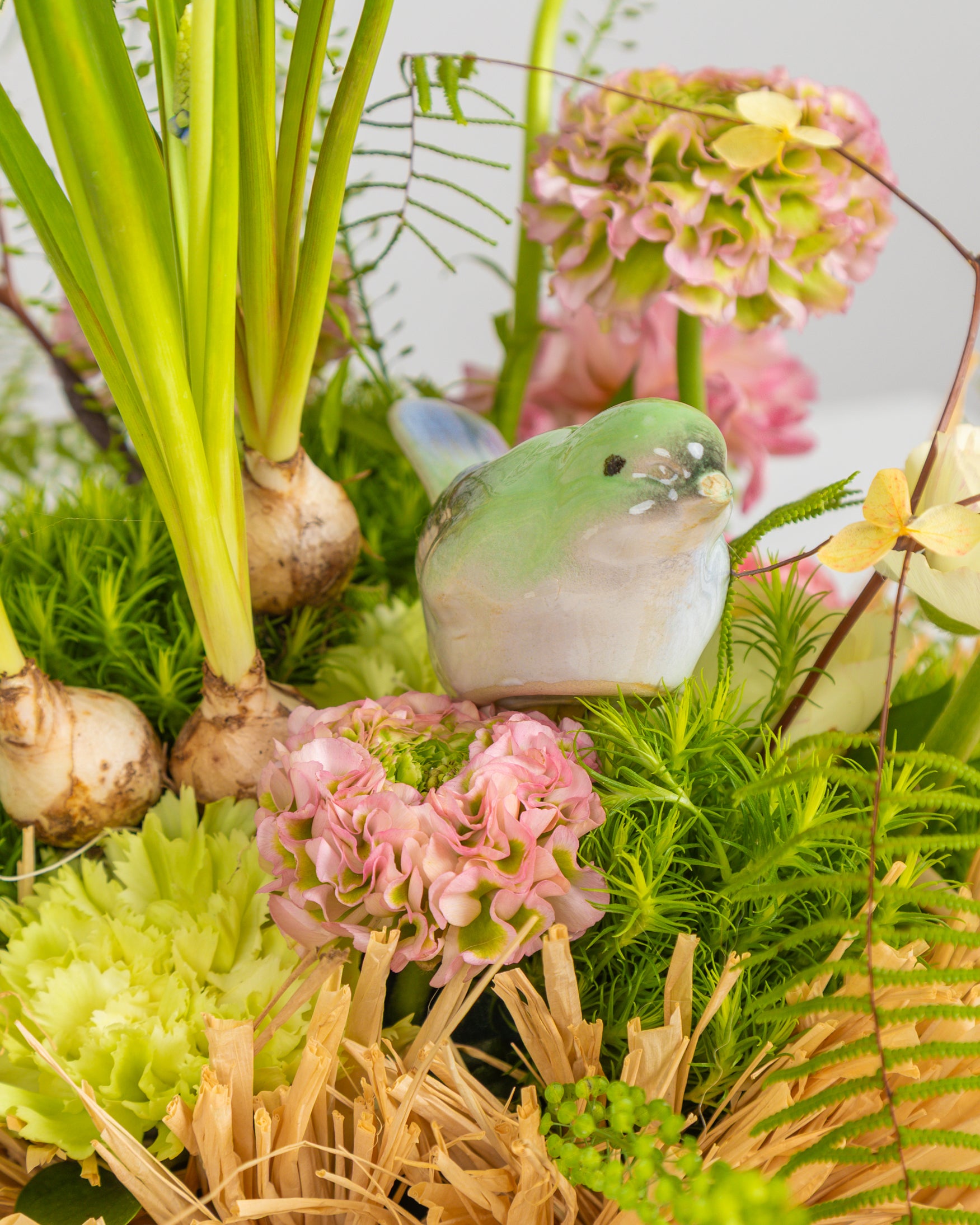 Image of Nest's Secret