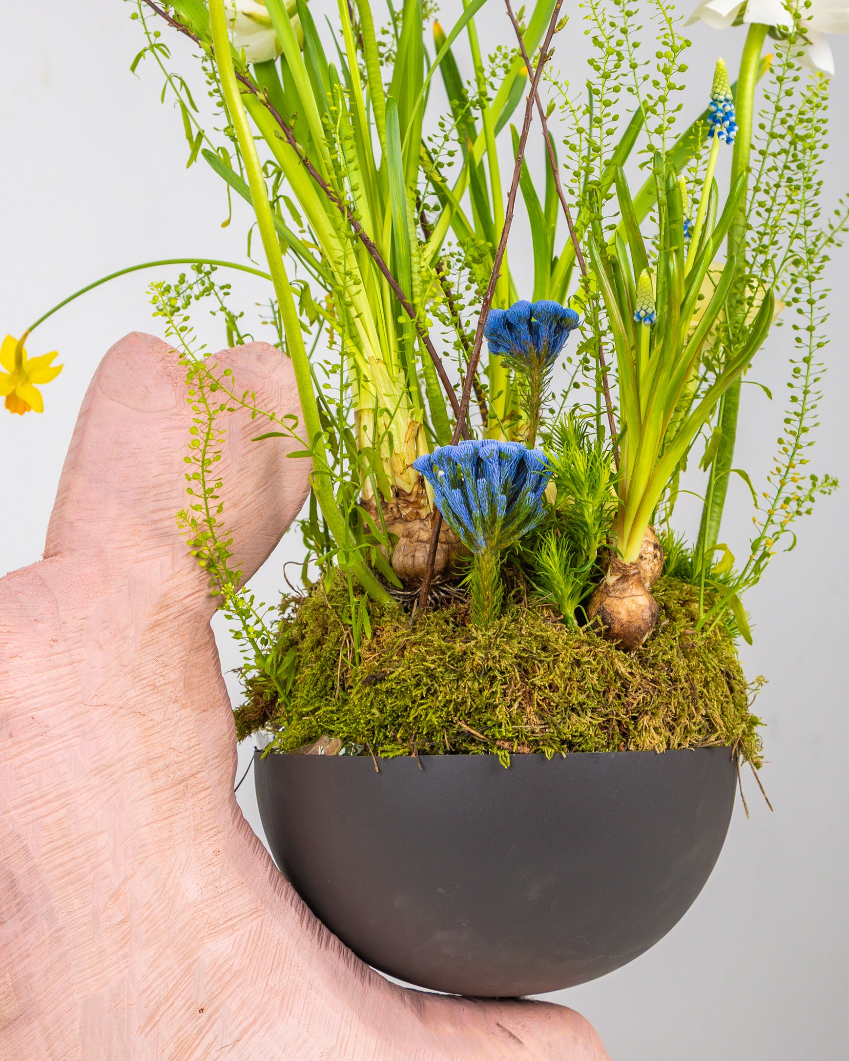 Image of Coniglio Pasquale Rosa con Composizione Stagionale