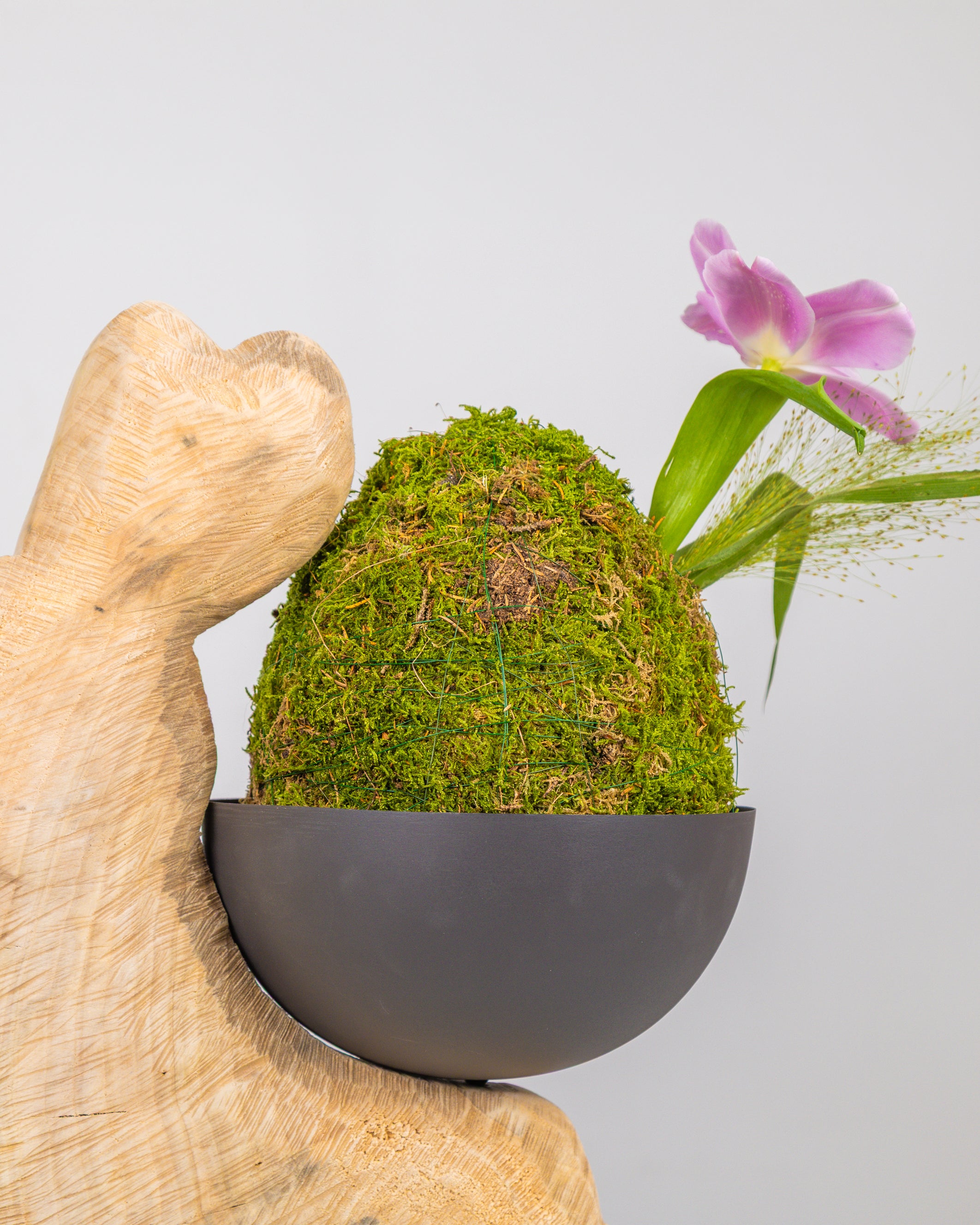 Image of Coniglio Pasquale Beige con Composizione Stagionale