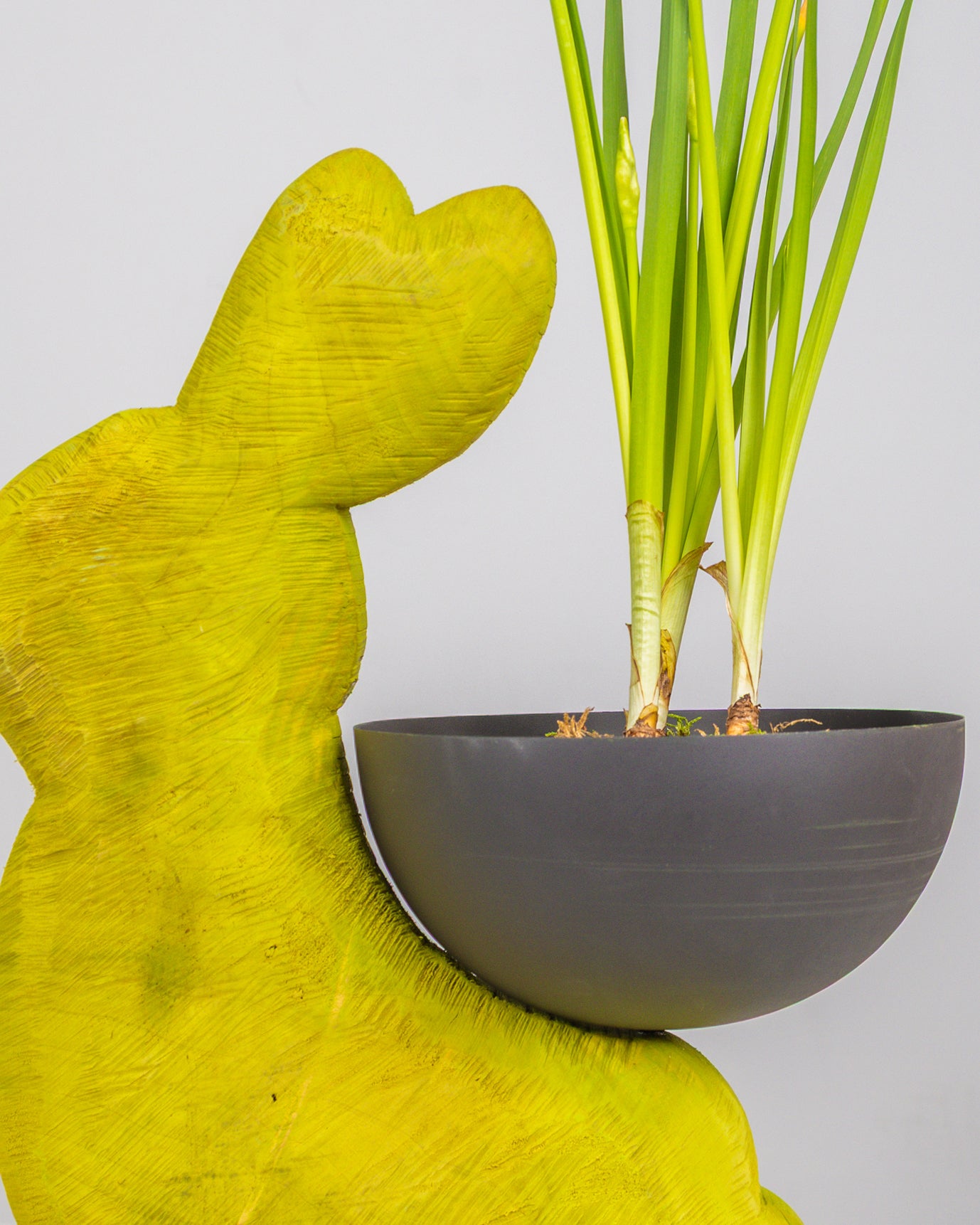 Image of Coniglio Pasquale Verde con Composizione Stagionale