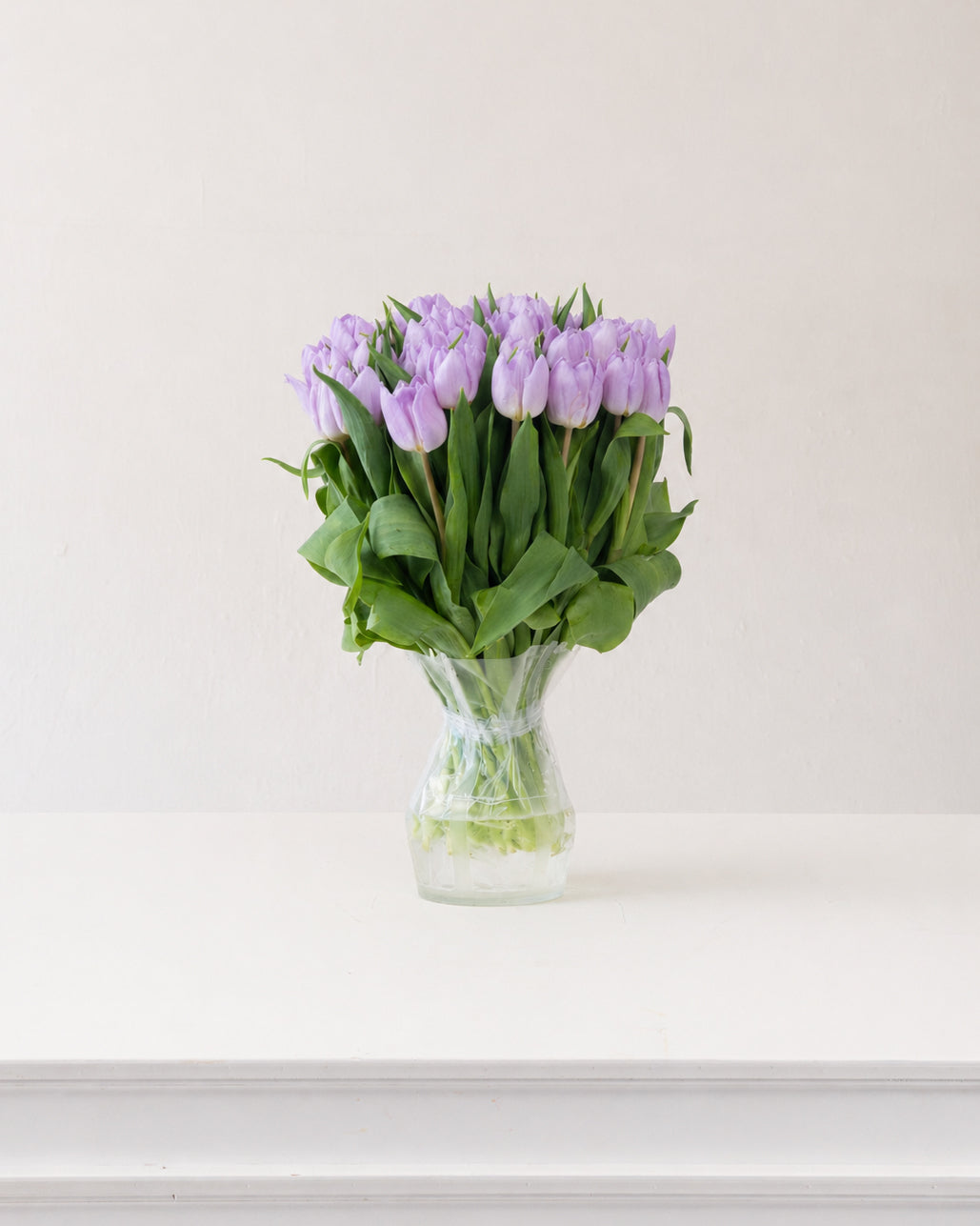 Image of Wardrobe of Memories Collection: Tulipani Glicine
