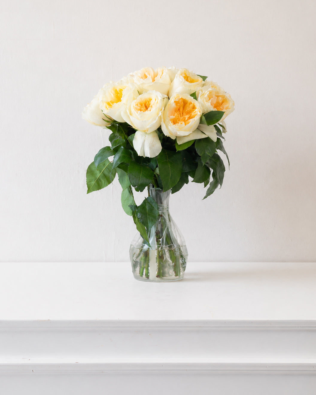 Image of Wardrobe of Memories Collection: Rose Gialle