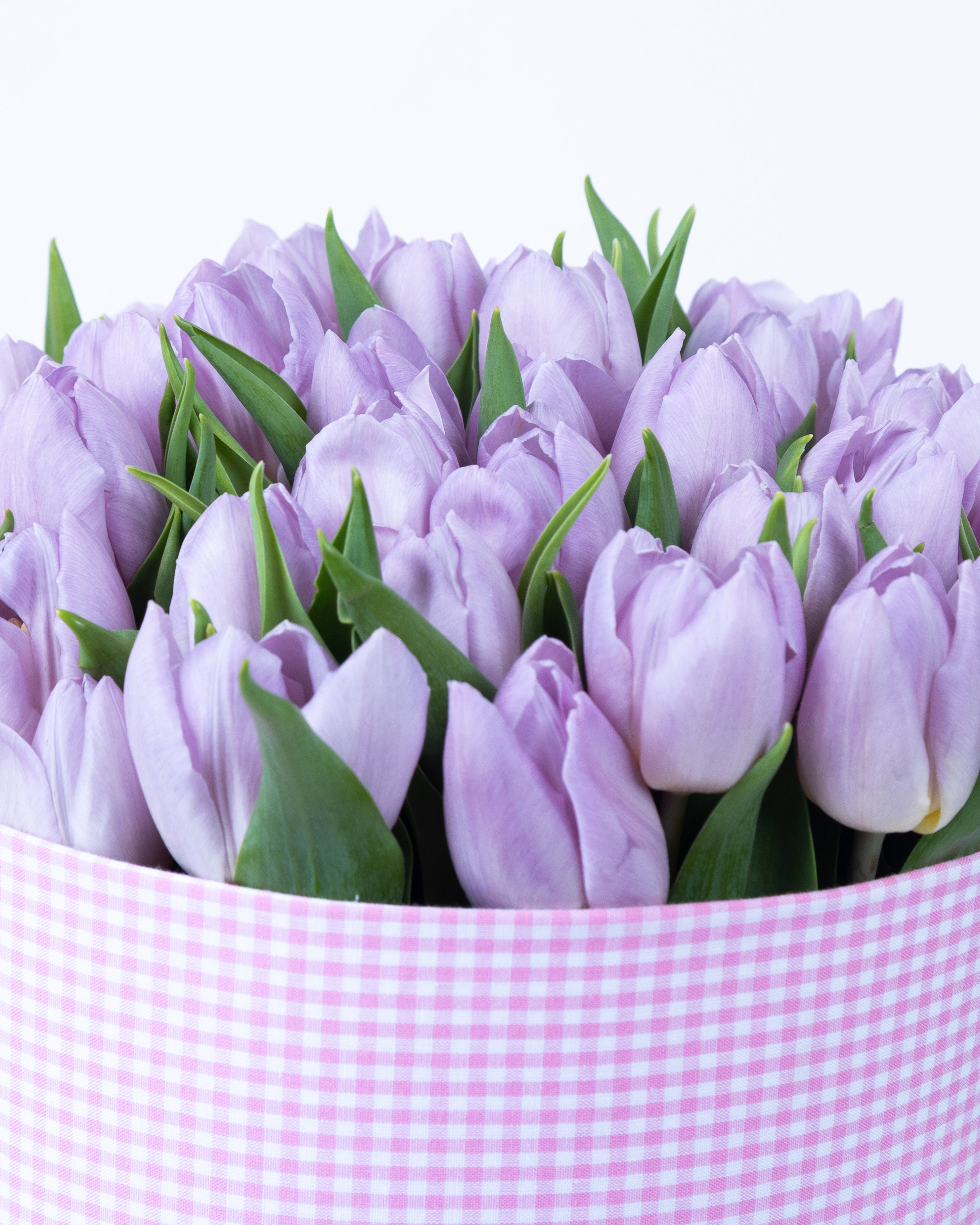 Image of Wardrobe of Memories Collection: Tulipani Glicine