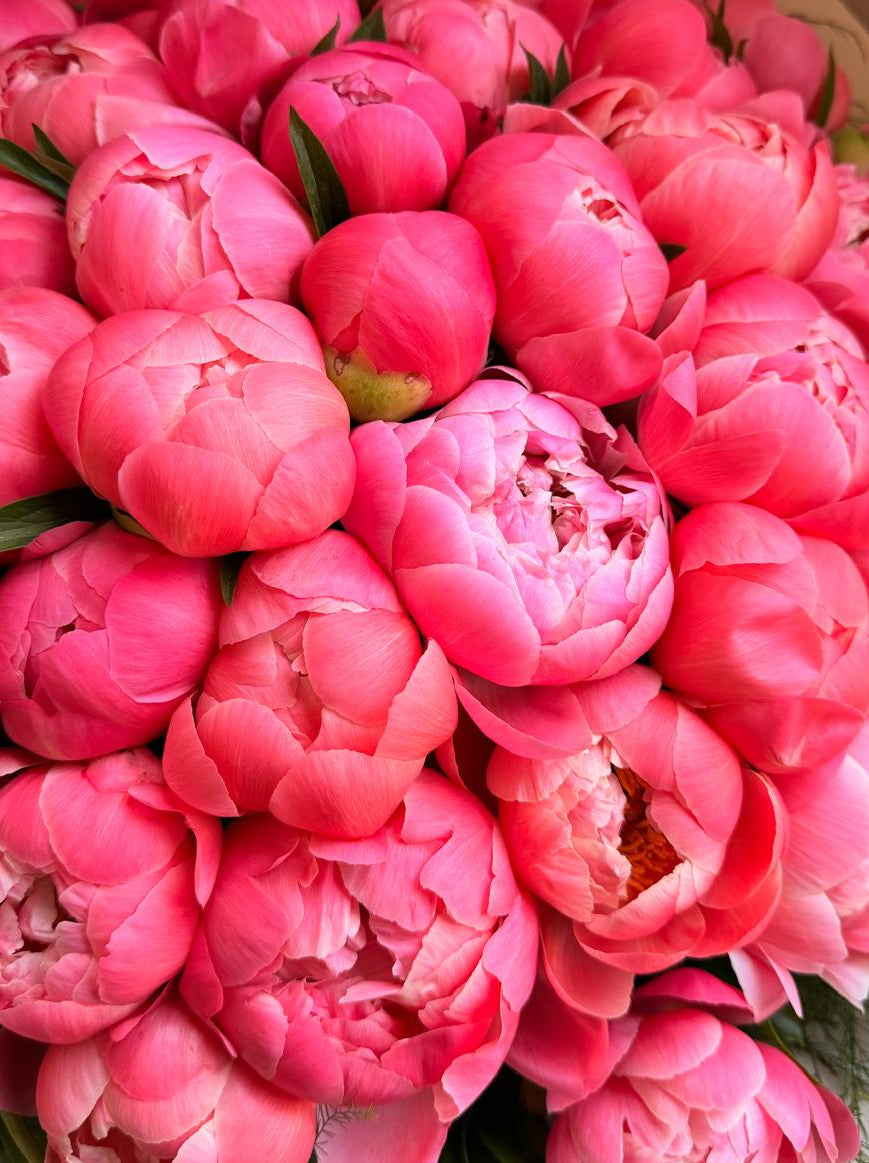 Image of Mazzo di Peonie